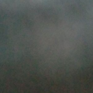 Meet your Posher, Martin